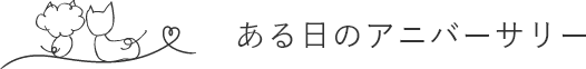 ある日のアニバーサリー